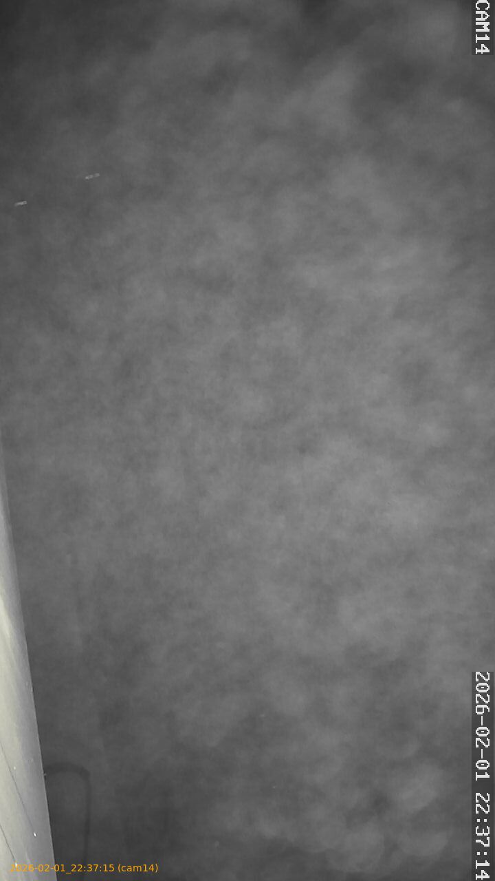 thumbnail_20260201223715