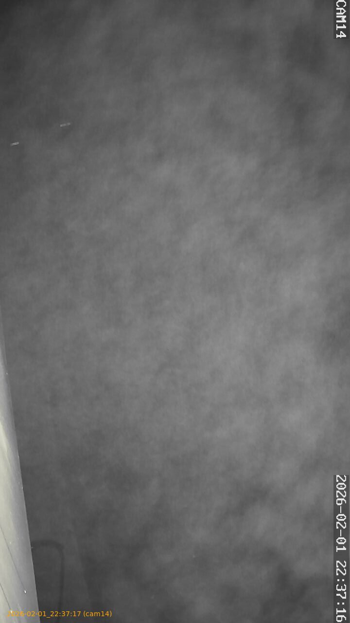 thumbnail_20260201223717