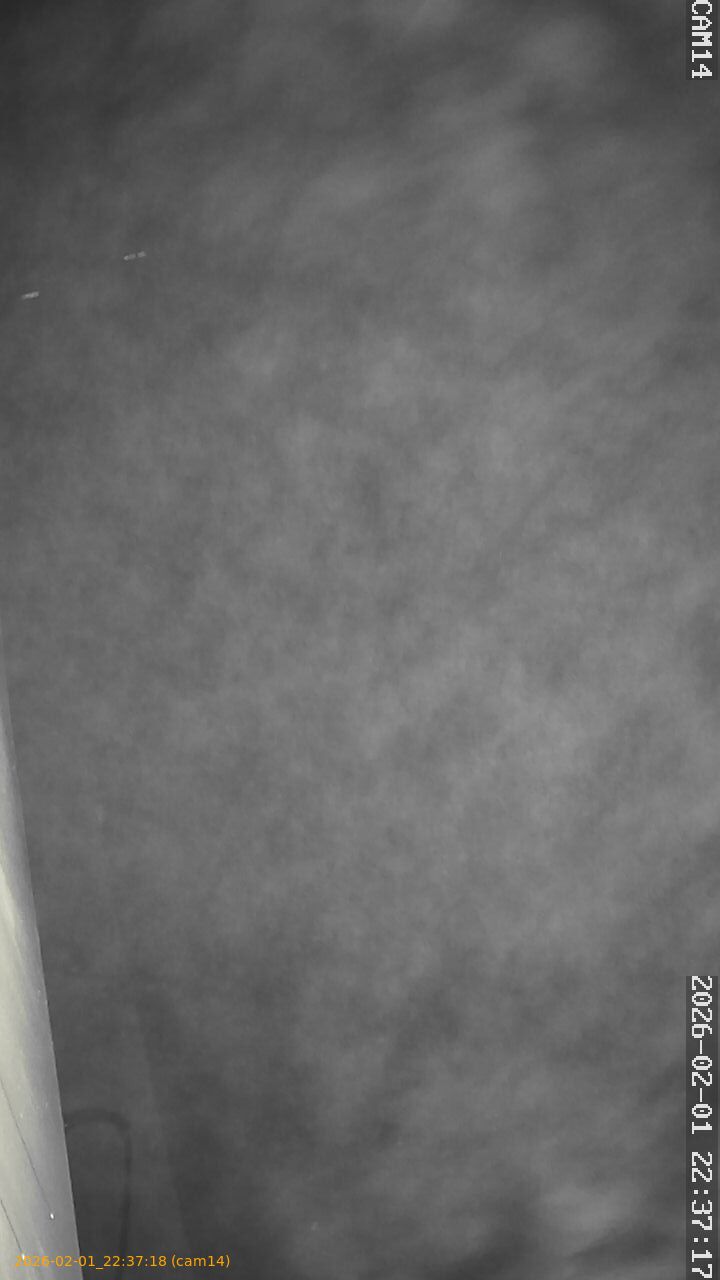 thumbnail_20260201223718