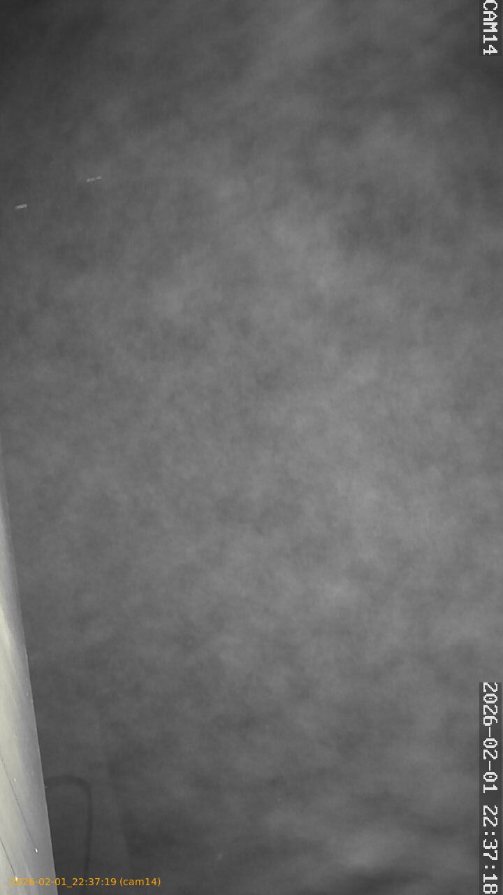 thumbnail_20260201223719