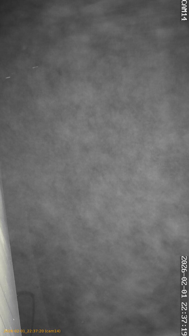 thumbnail_20260201223720