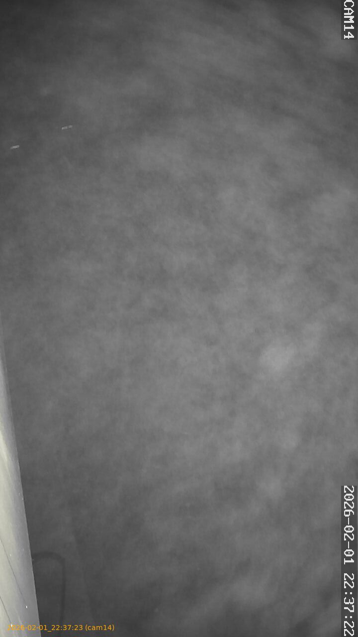 thumbnail_20260201223723