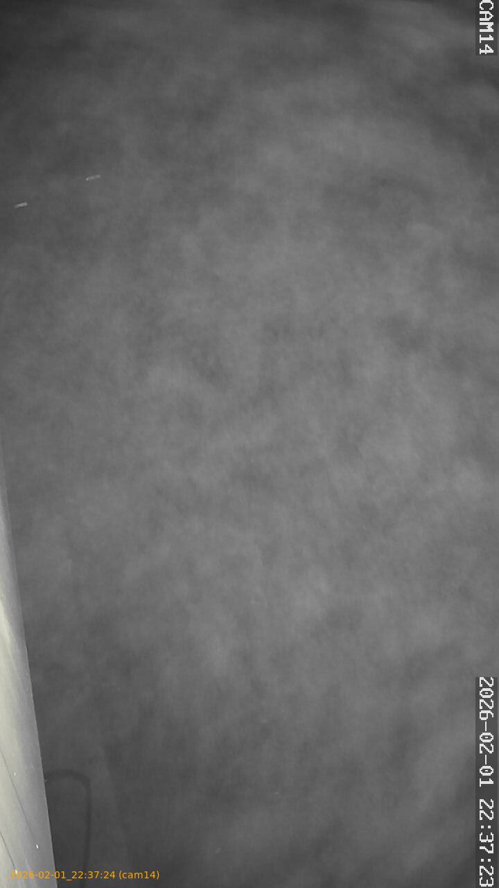 thumbnail_20260201223724