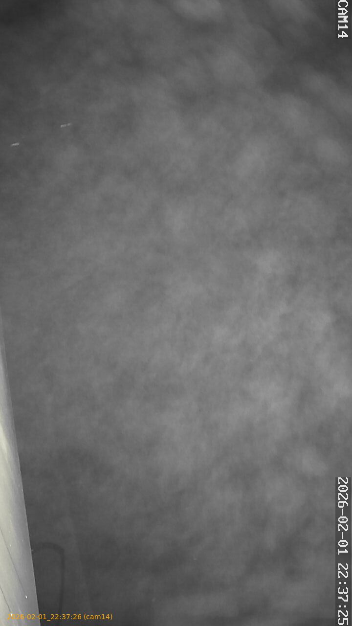 thumbnail_20260201223726