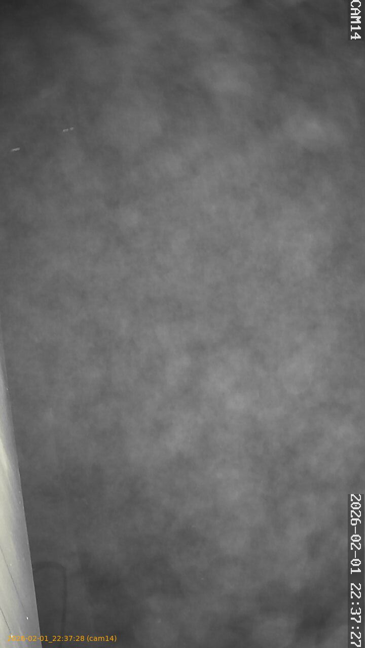 thumbnail_20260201223728