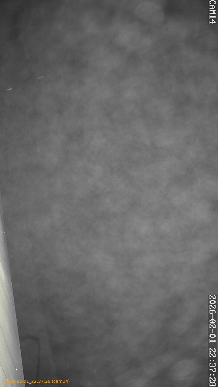 thumbnail_20260201223729