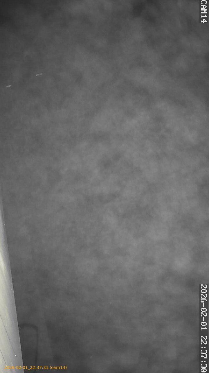 thumbnail_20260201223731