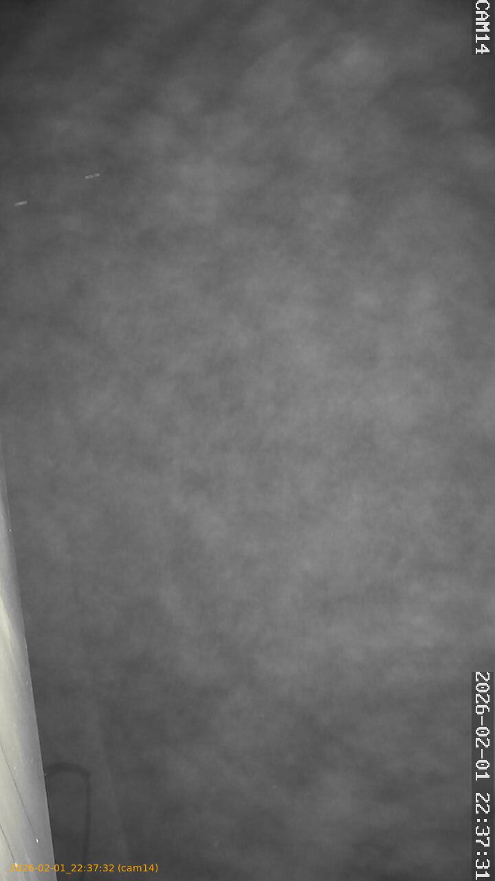 thumbnail_20260201223732