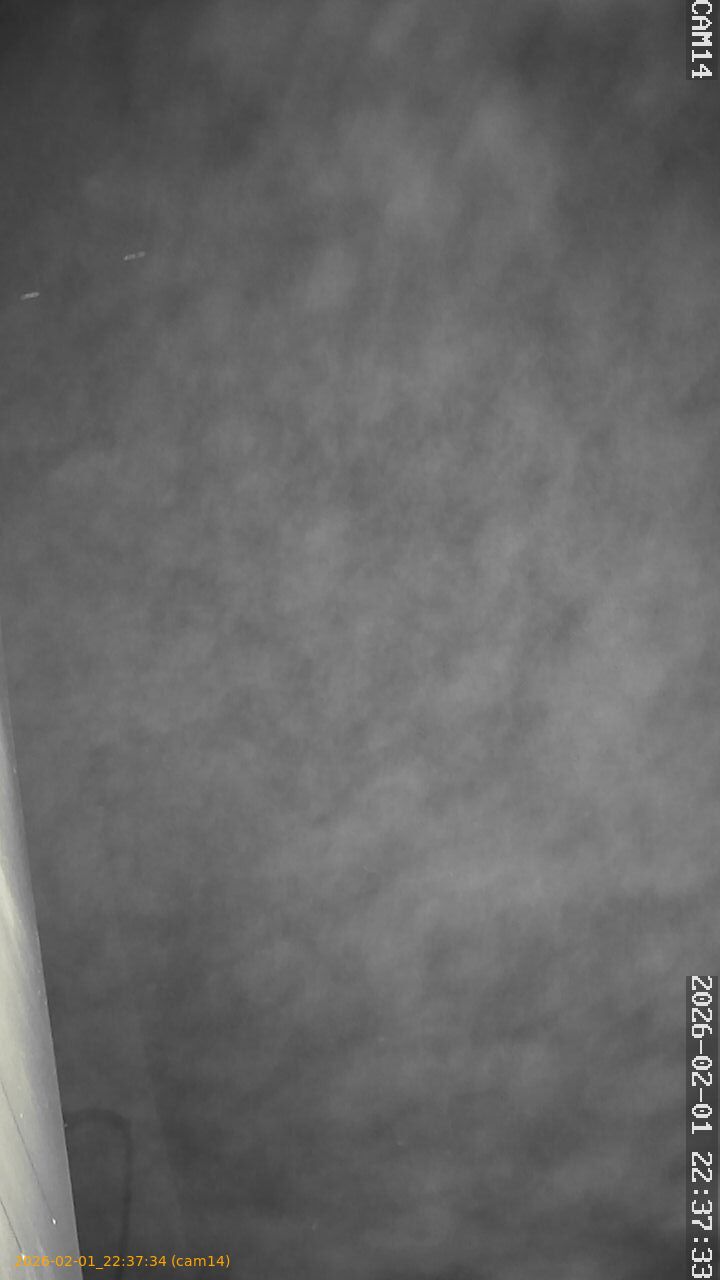 thumbnail_20260201223734