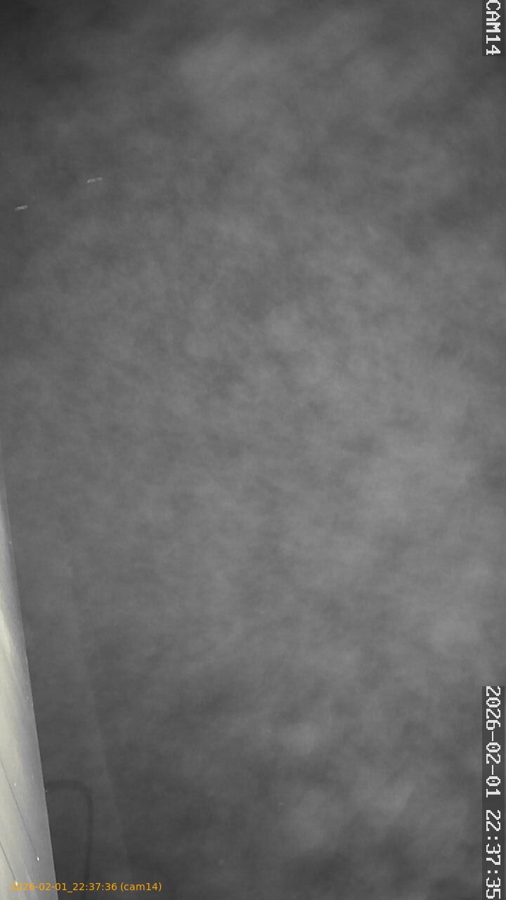 thumbnail_20260201223736