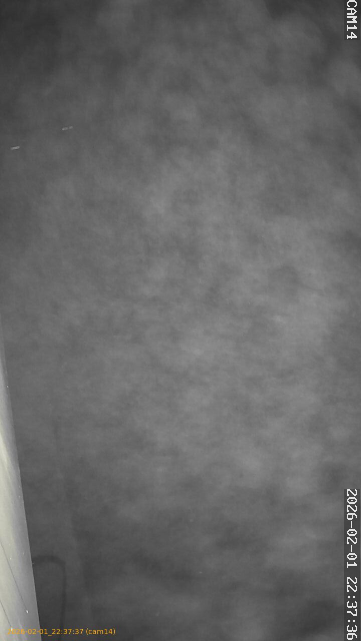 thumbnail_20260201223737