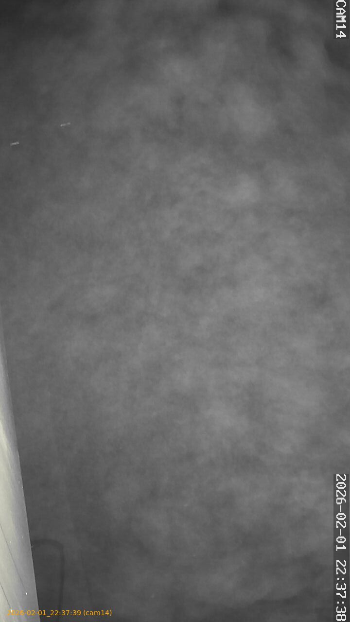 thumbnail_20260201223739