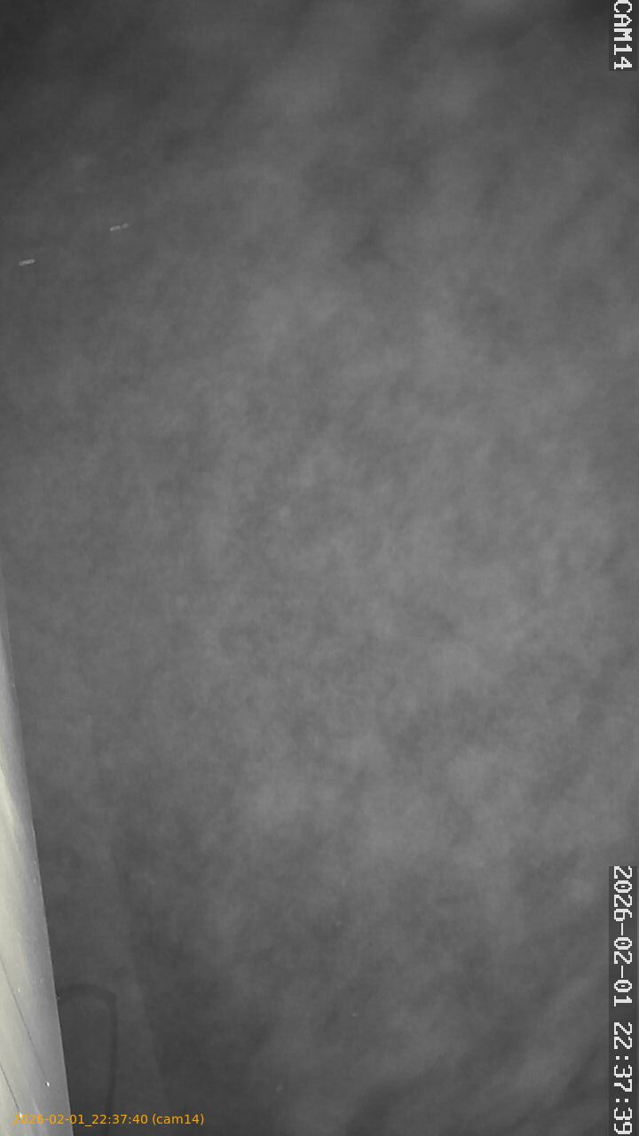 thumbnail_20260201223740