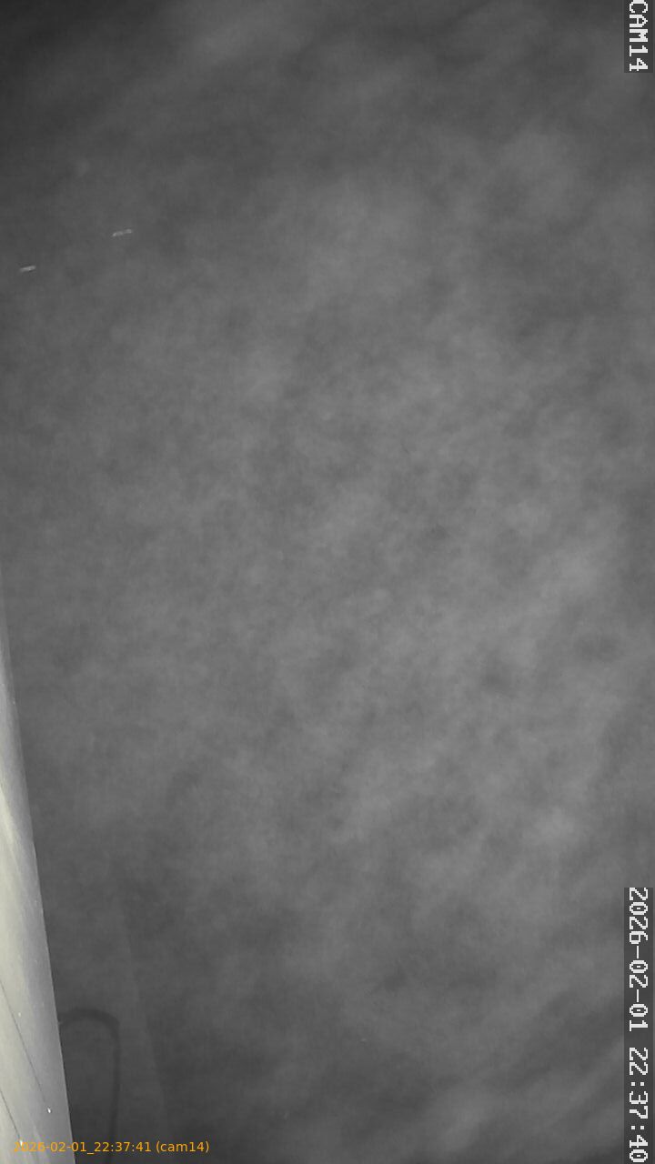 thumbnail_20260201223741