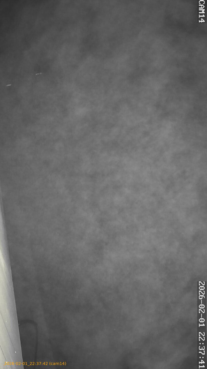 thumbnail_20260201223742