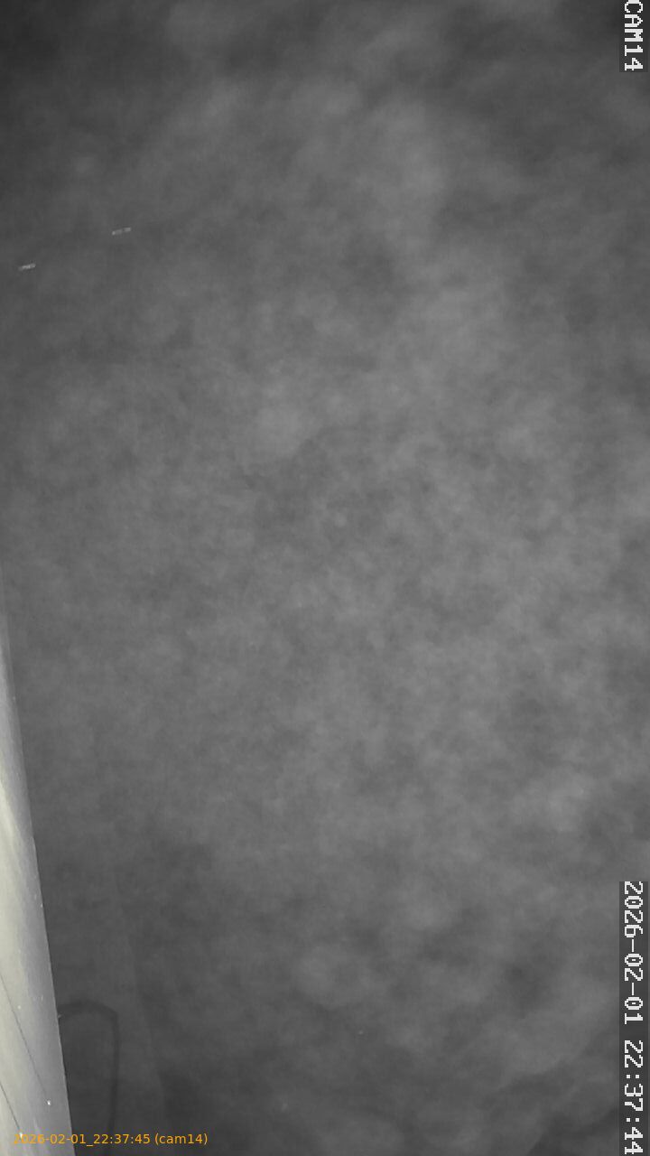 thumbnail_20260201223745