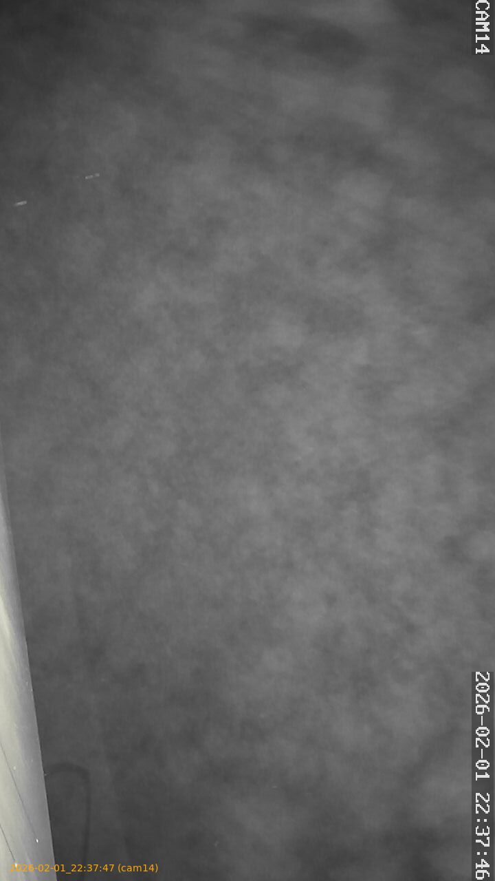 thumbnail_20260201223747