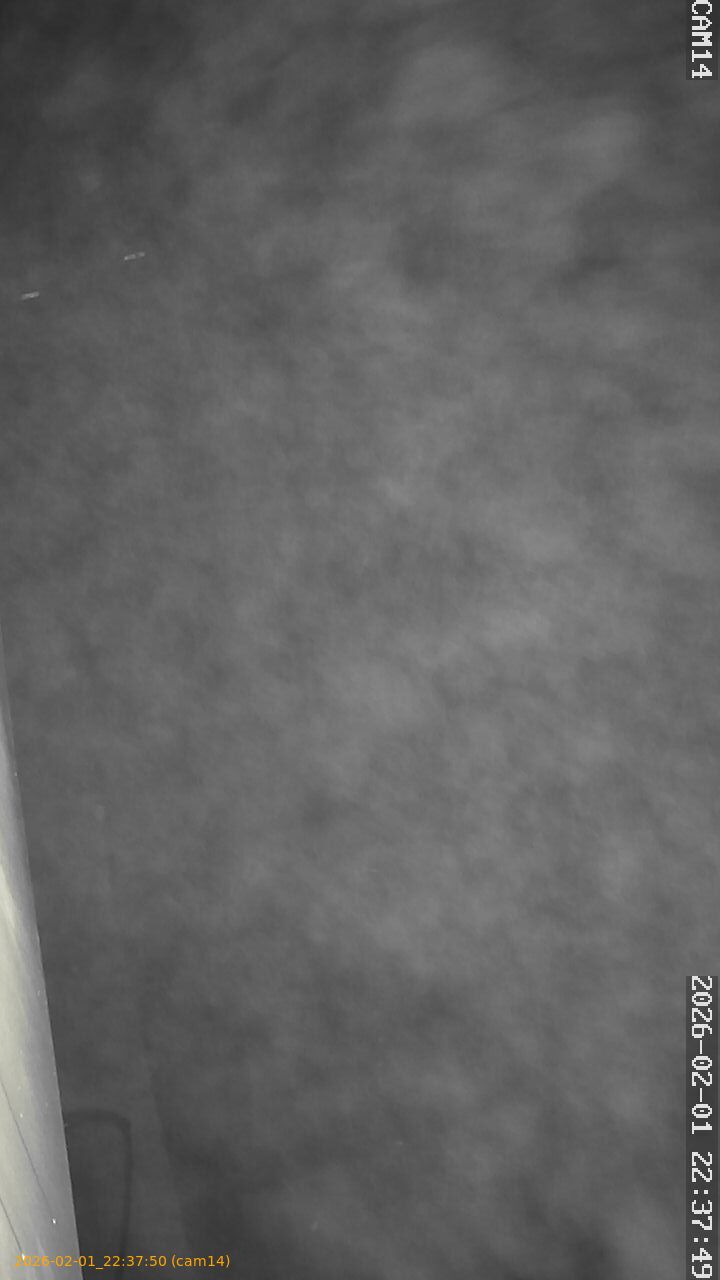 thumbnail_20260201223750