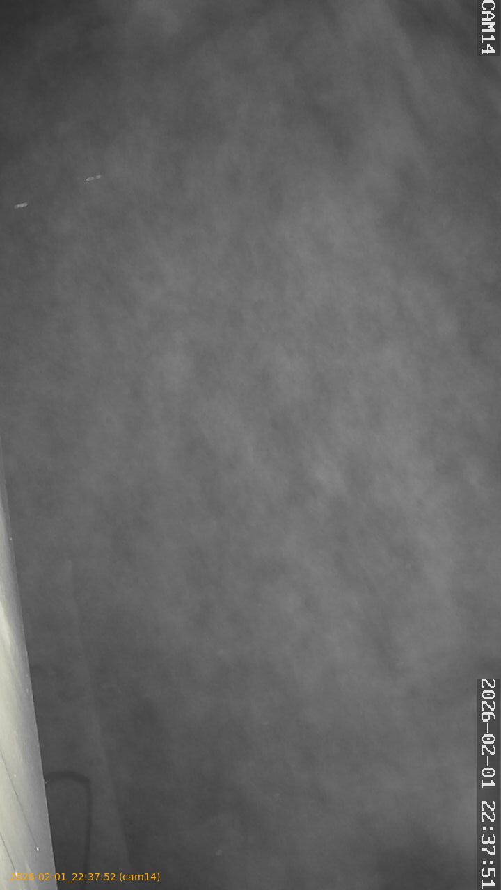 thumbnail_20260201223752