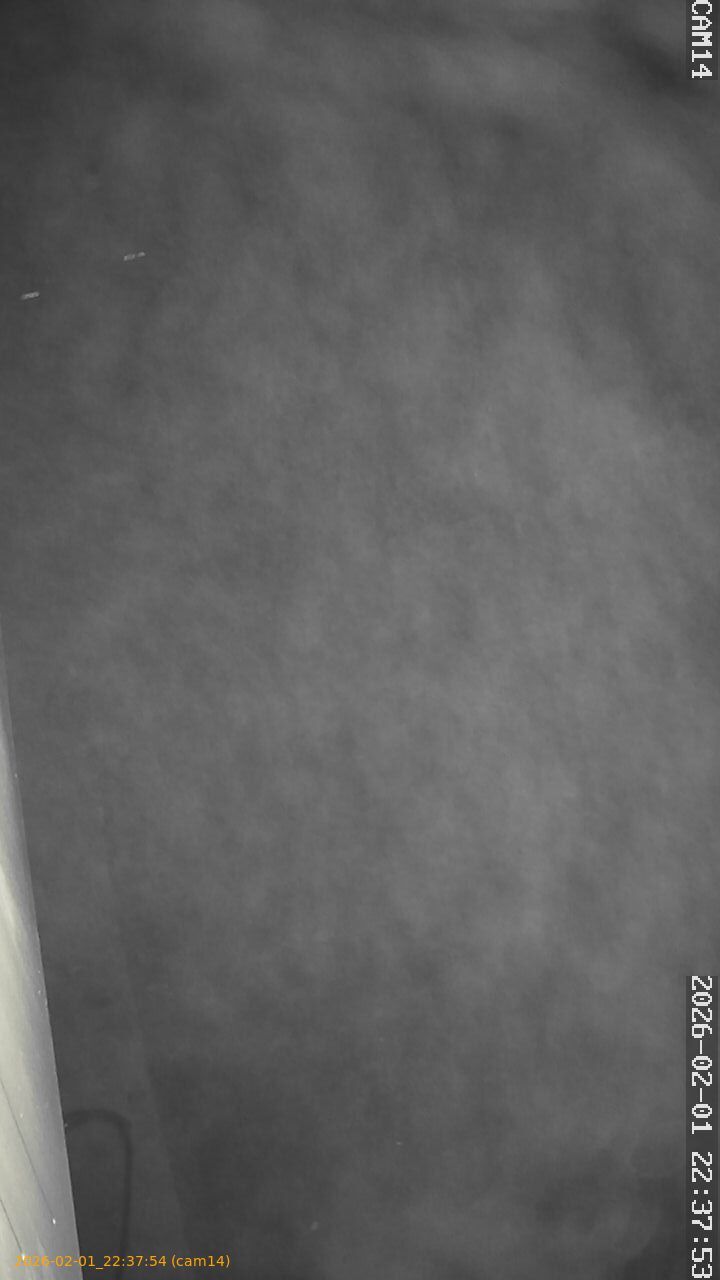 thumbnail_20260201223754