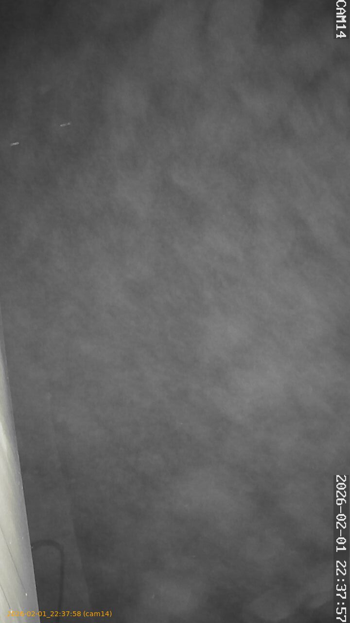 thumbnail_20260201223758