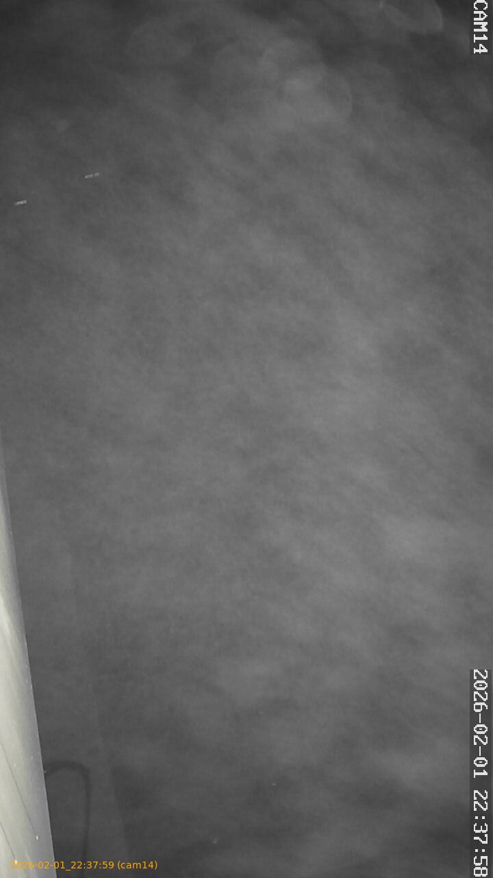 thumbnail_20260201223759