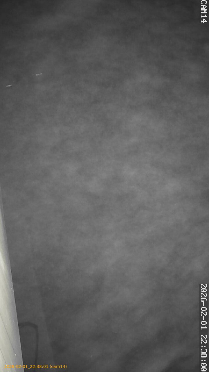 thumbnail_20260201223801