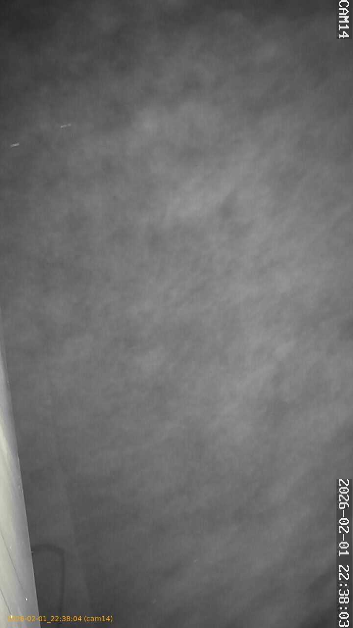 thumbnail_20260201223804