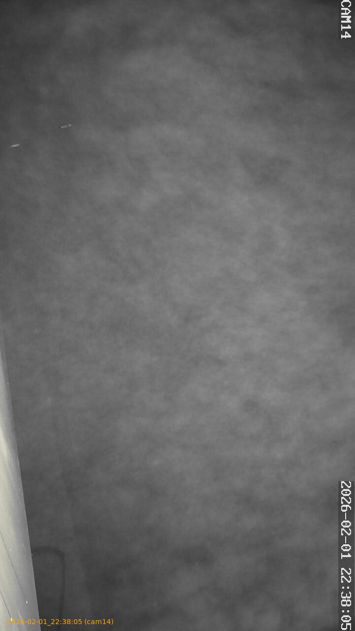 thumbnail_20260201223805