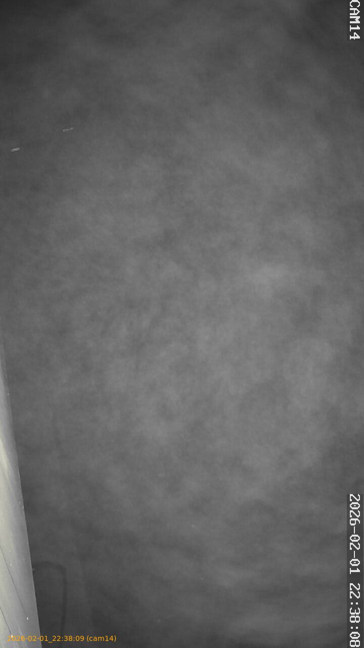 thumbnail_20260201223809