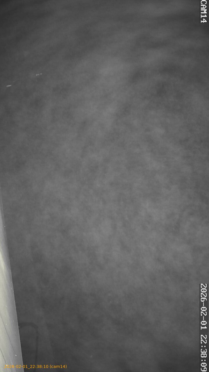 thumbnail_20260201223810