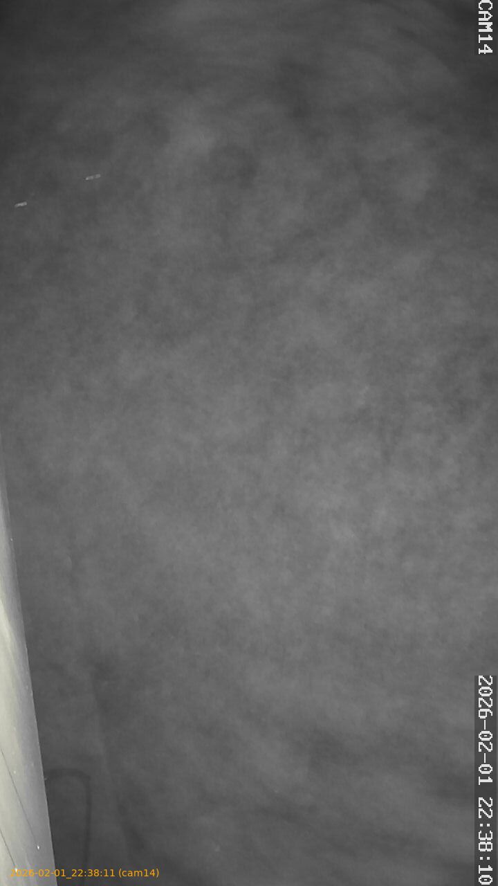 thumbnail_20260201223811