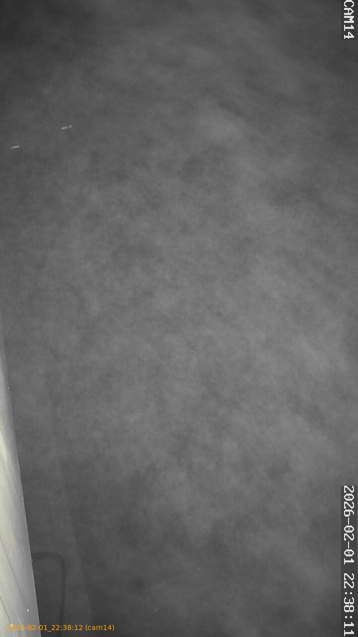 thumbnail_20260201223812