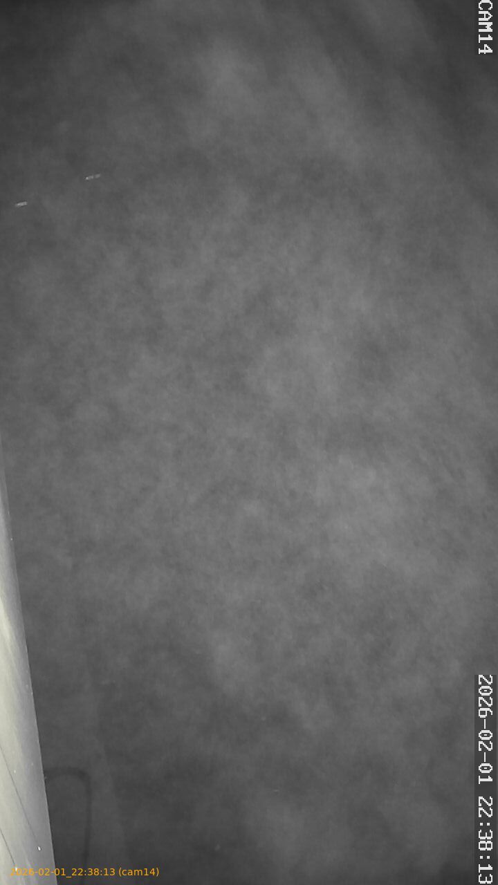 thumbnail_20260201223813