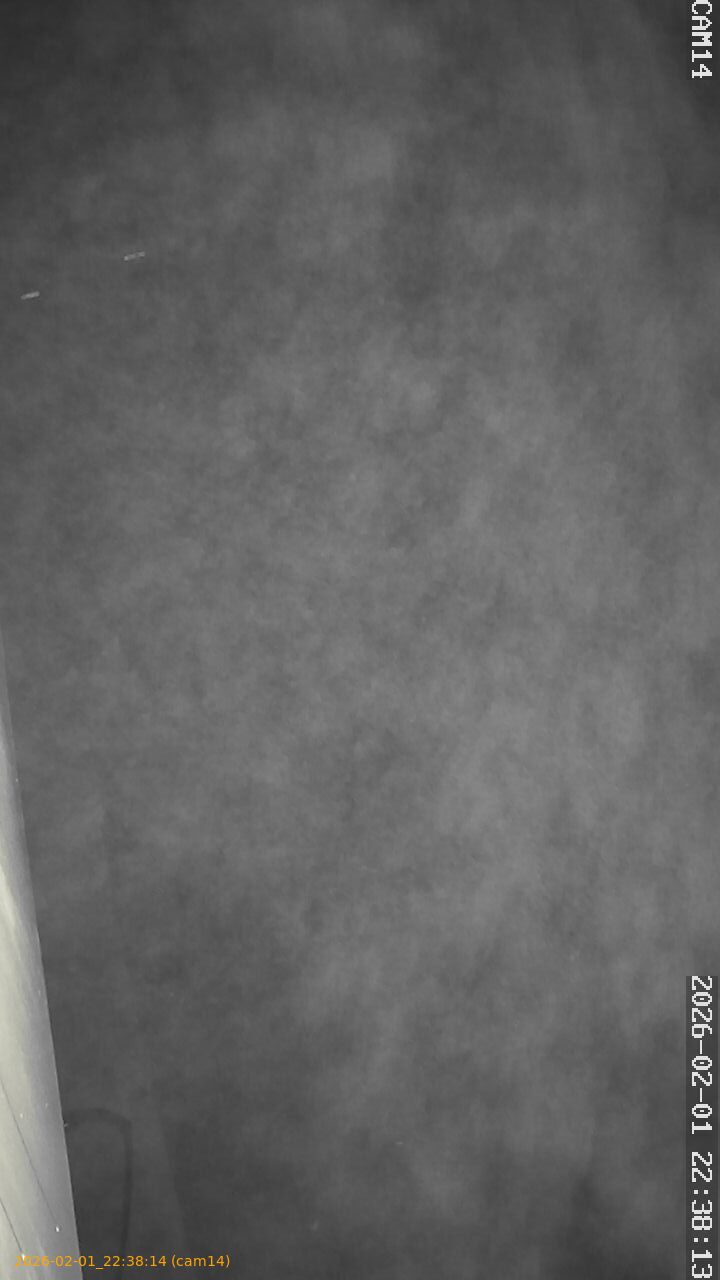 thumbnail_20260201223814