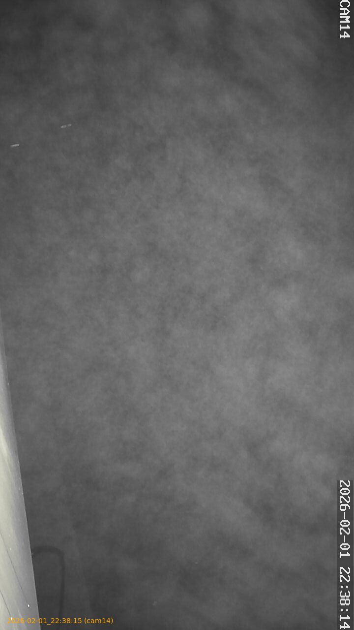 thumbnail_20260201223815