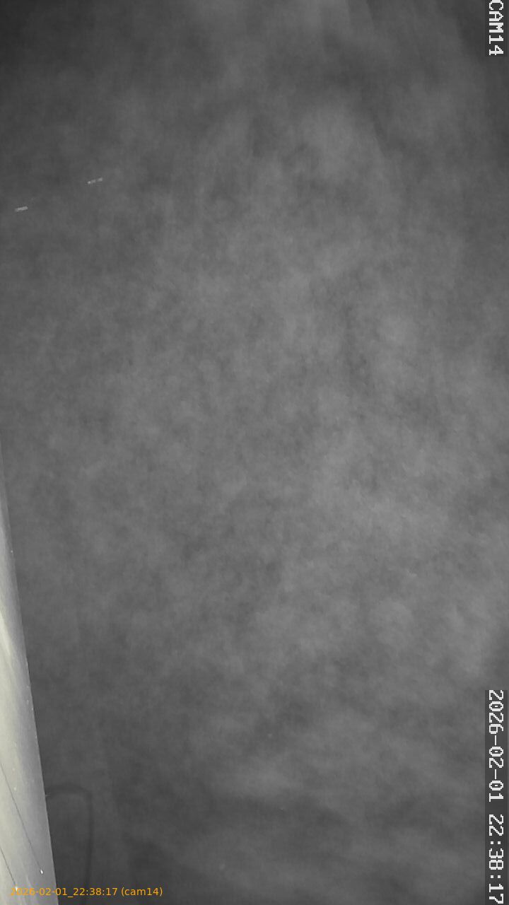 thumbnail_20260201223817