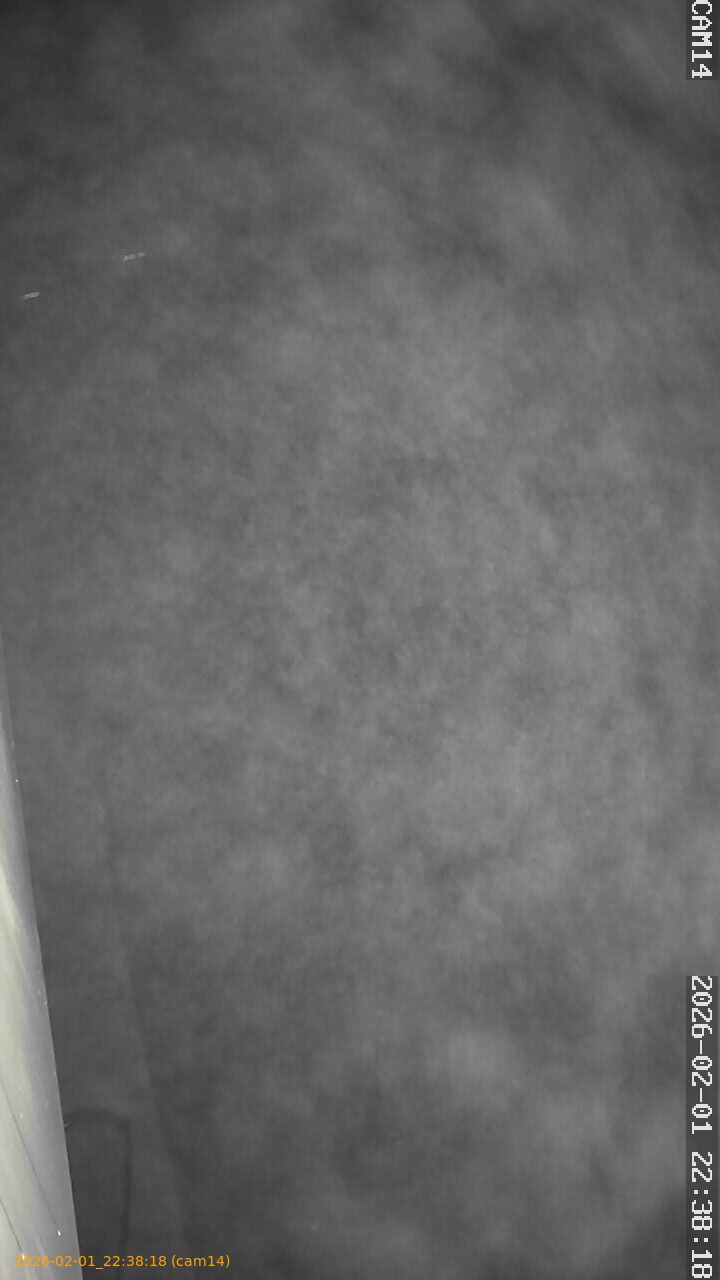 thumbnail_20260201223818