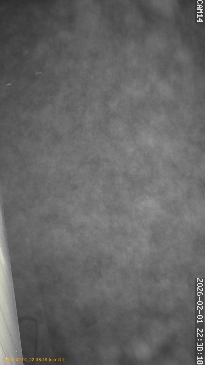 thumbnail_20260201223819