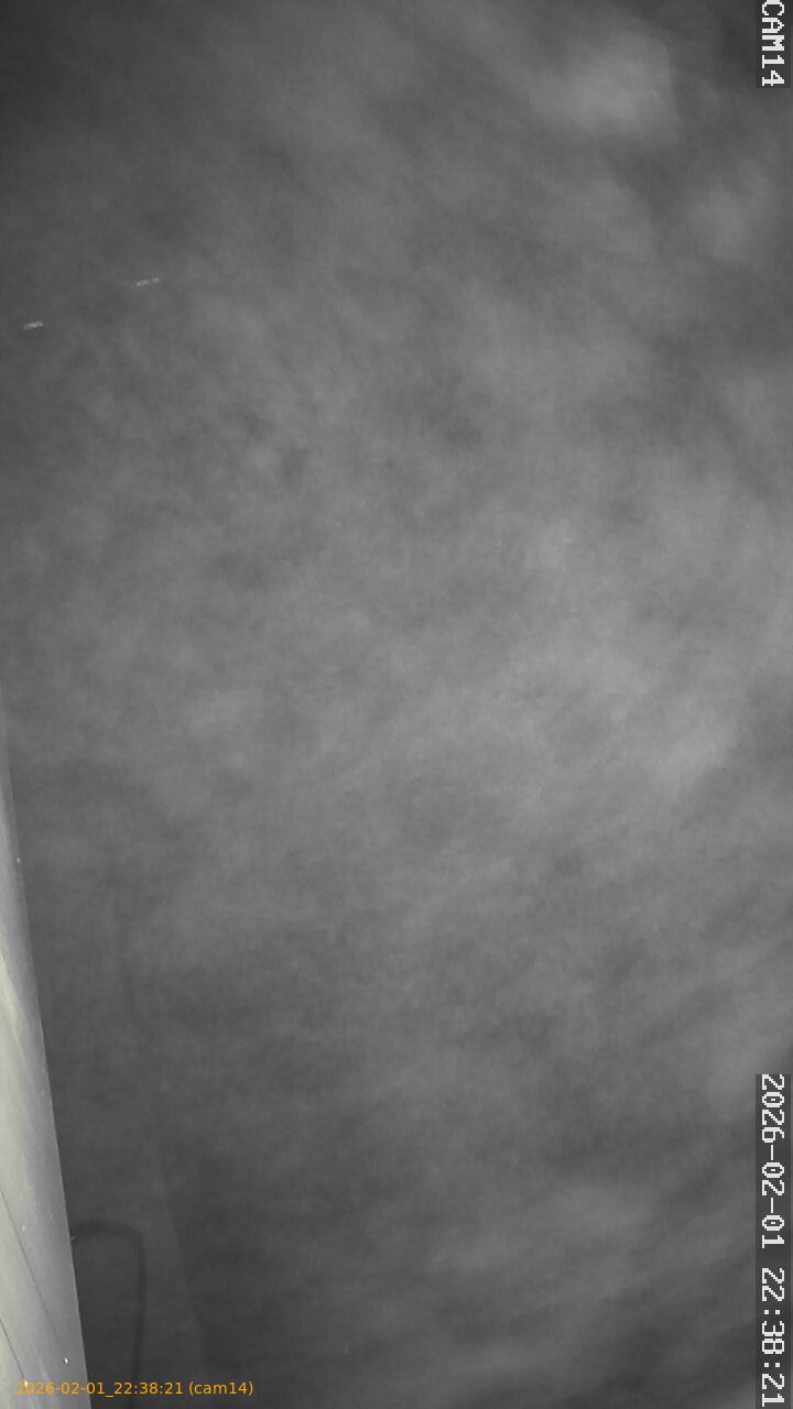 thumbnail_20260201223821