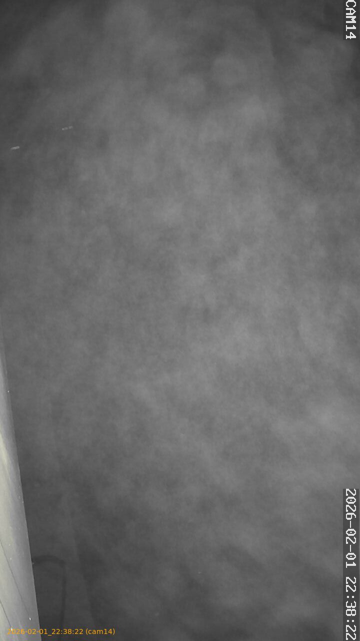 thumbnail_20260201223822