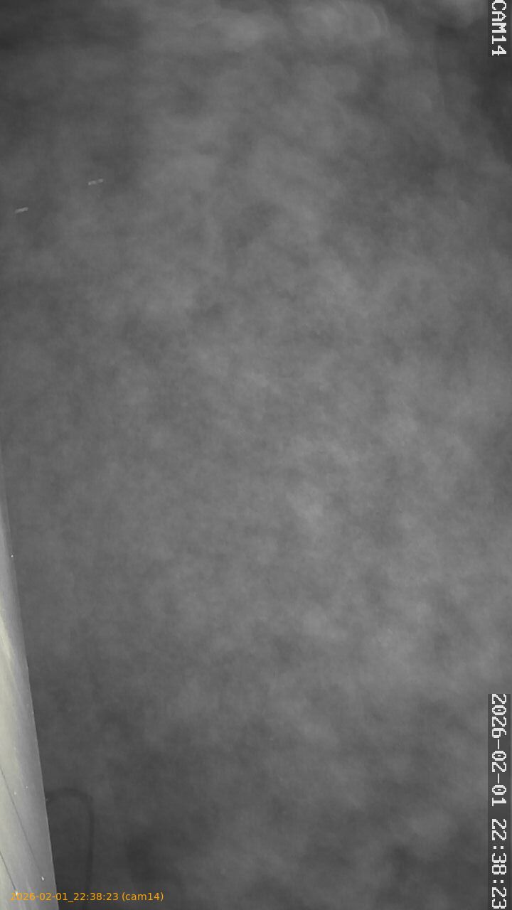 thumbnail_20260201223823