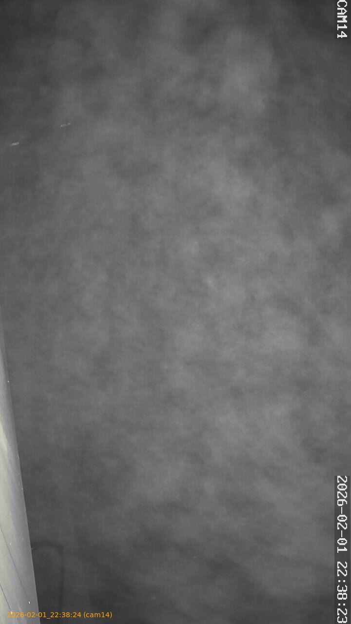 thumbnail_20260201223824