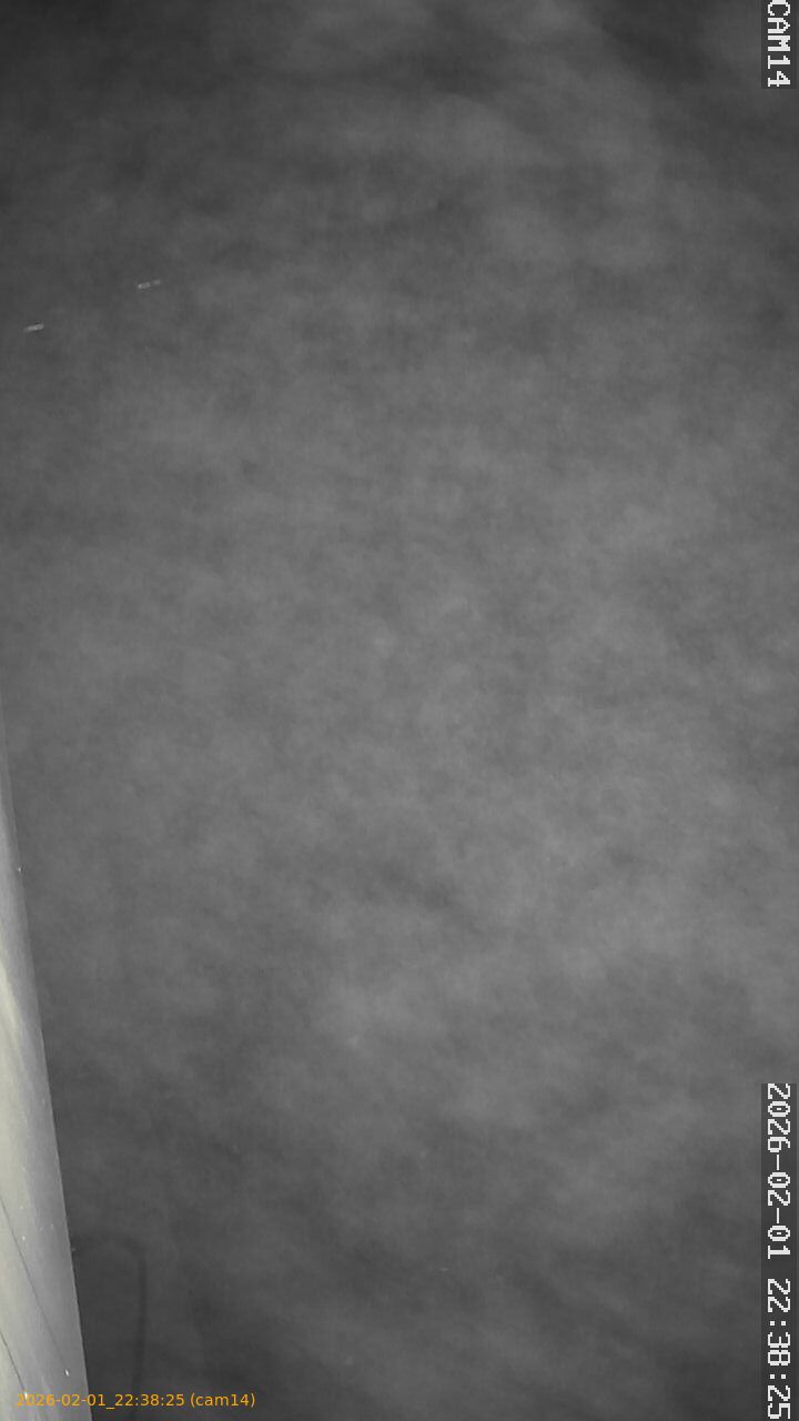 thumbnail_20260201223825