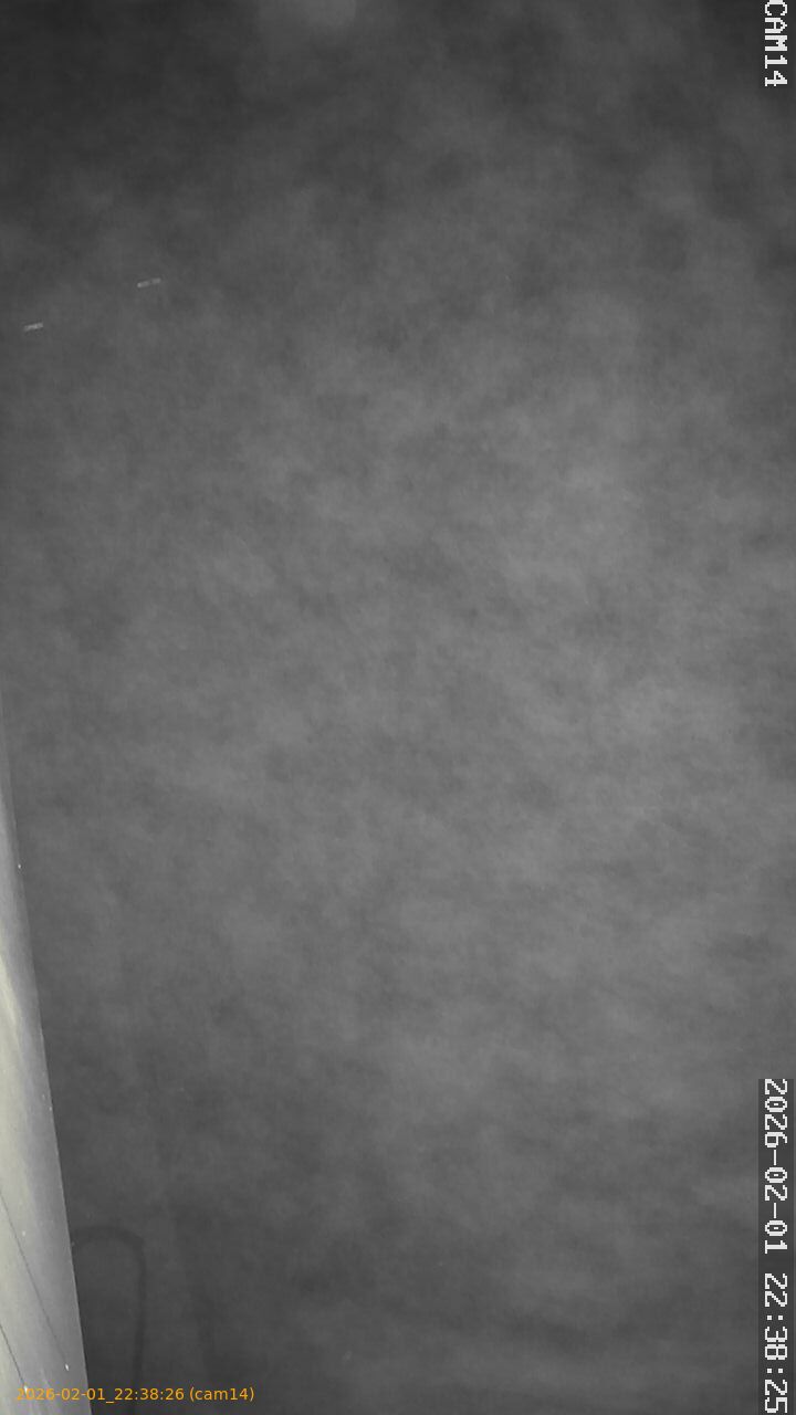 thumbnail_20260201223826