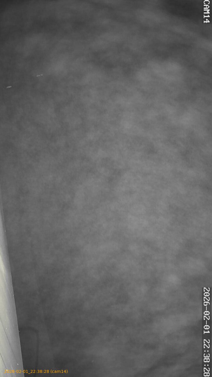 thumbnail_20260201223828