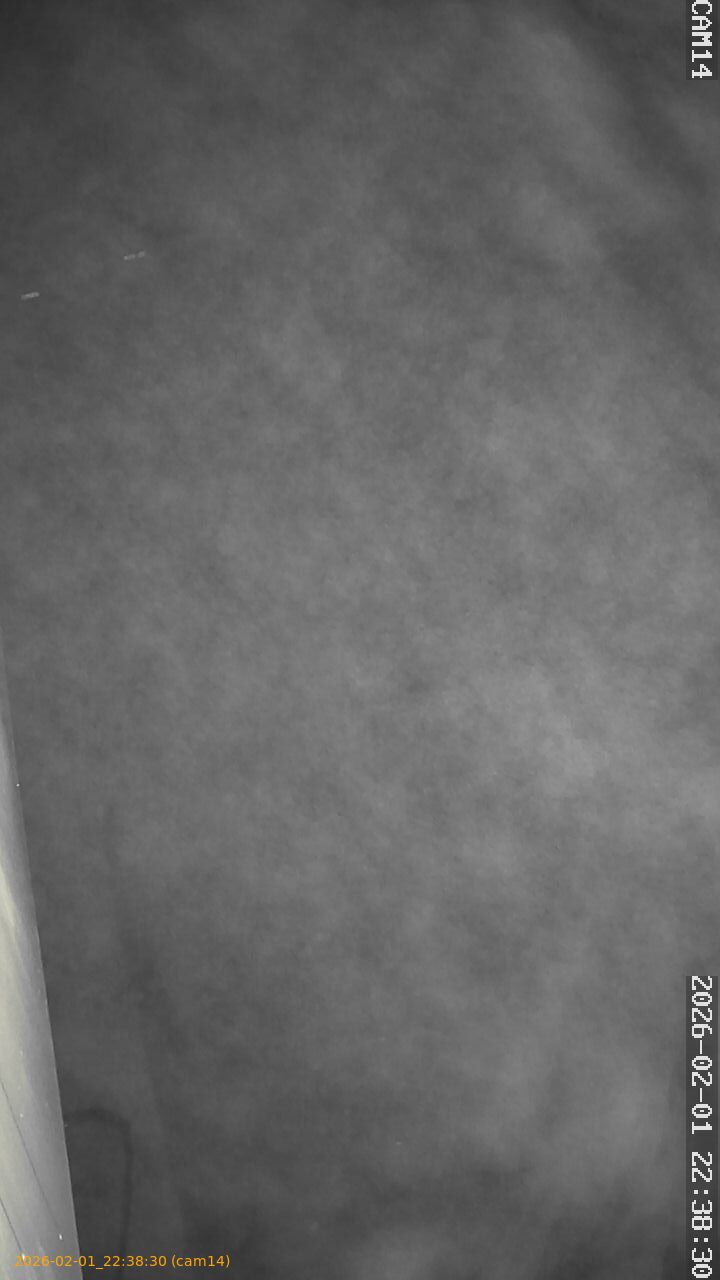 thumbnail_20260201223830