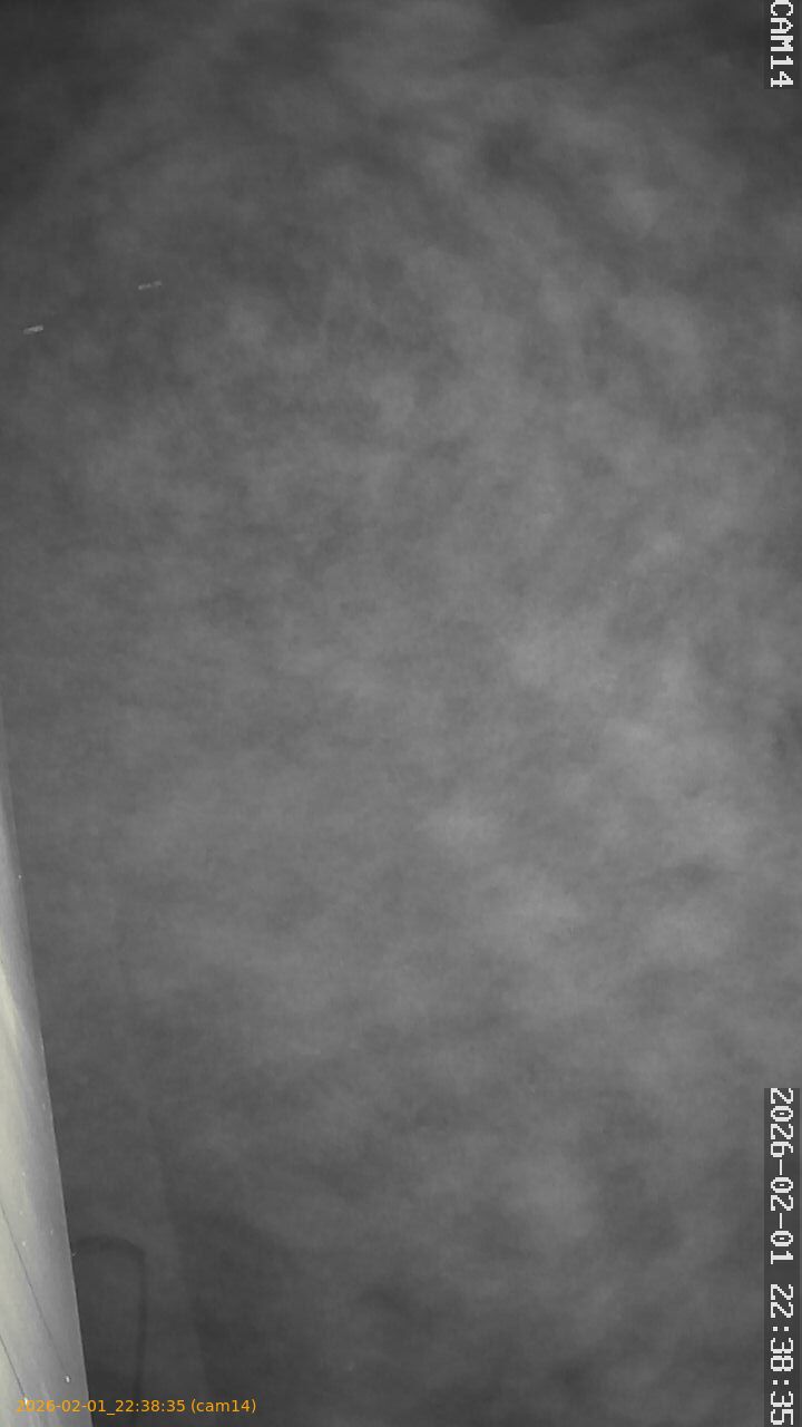 thumbnail_20260201223835