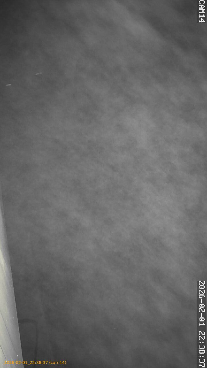 thumbnail_20260201223837