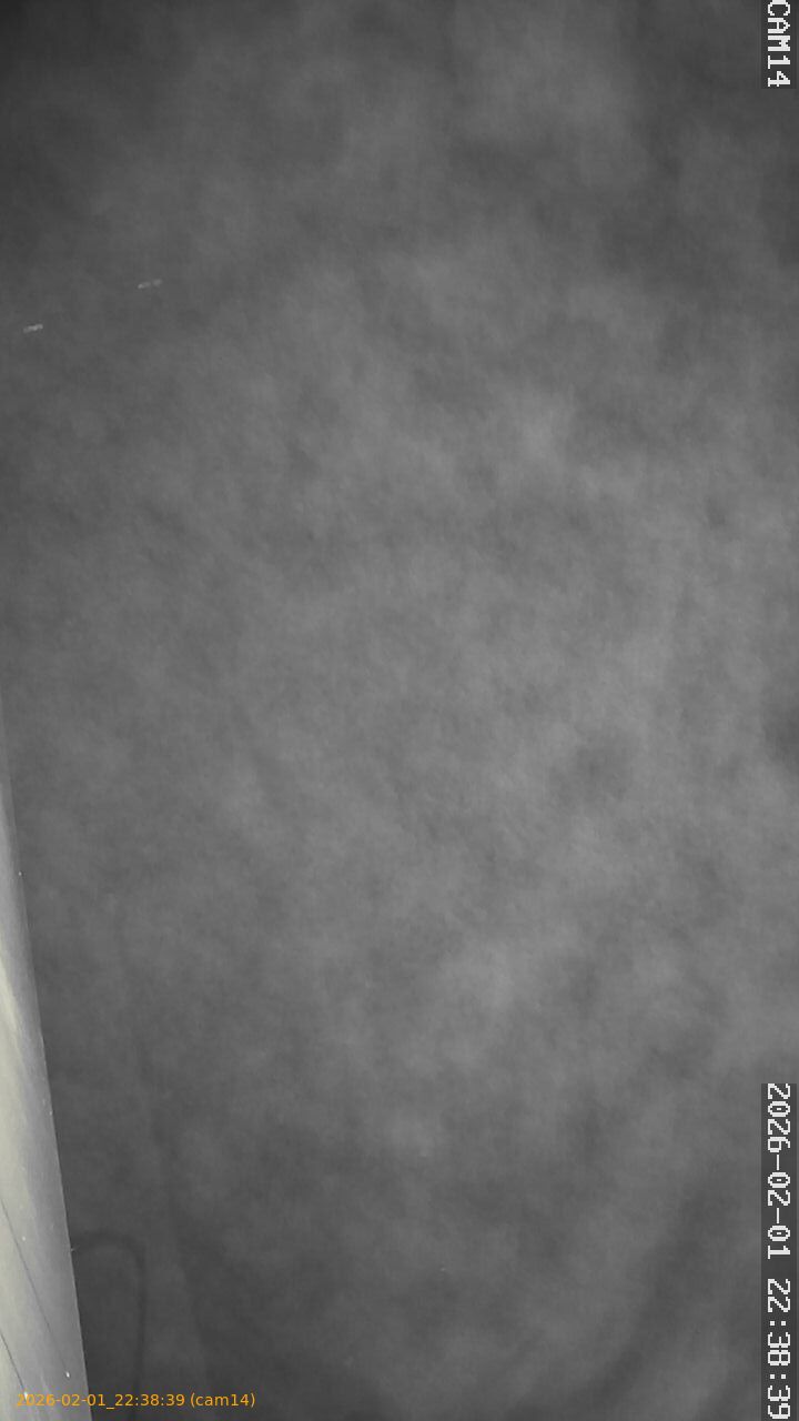 thumbnail_20260201223839